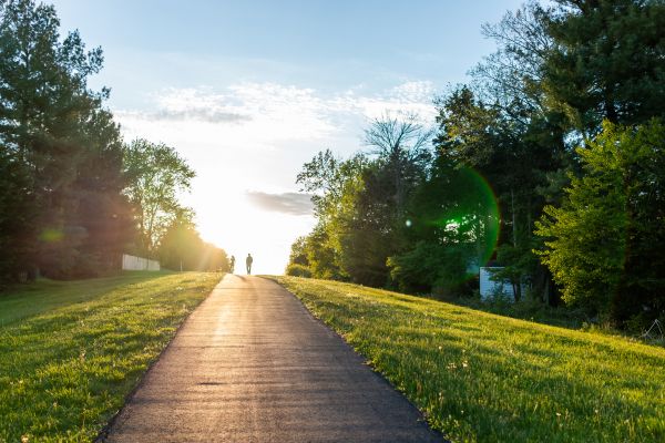 Cost of Asphalt Pathway Installation in Houston